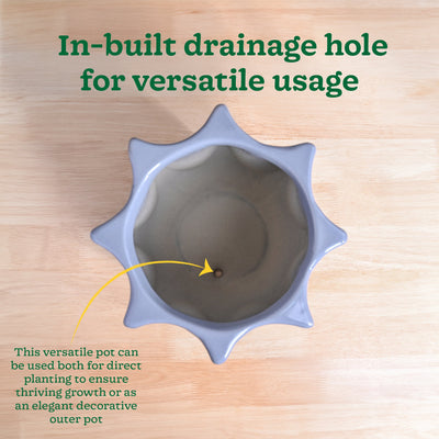 Tranquil Tales Ceramic Planter