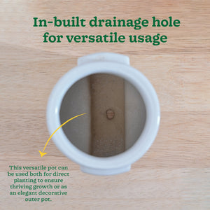 Cats are Gods Ceramic Planter