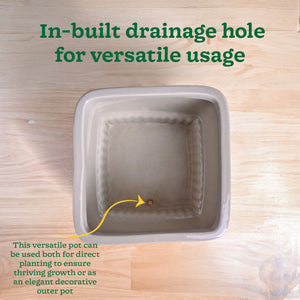 Immortal Nights Ceramic Planter