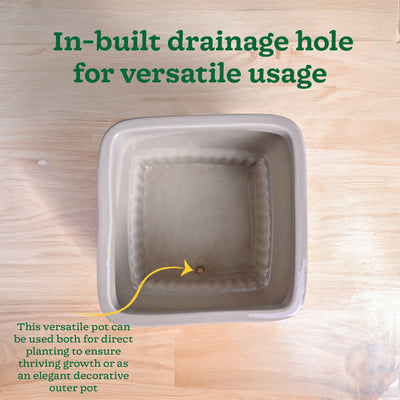 Immortal Nights Ceramic Planter