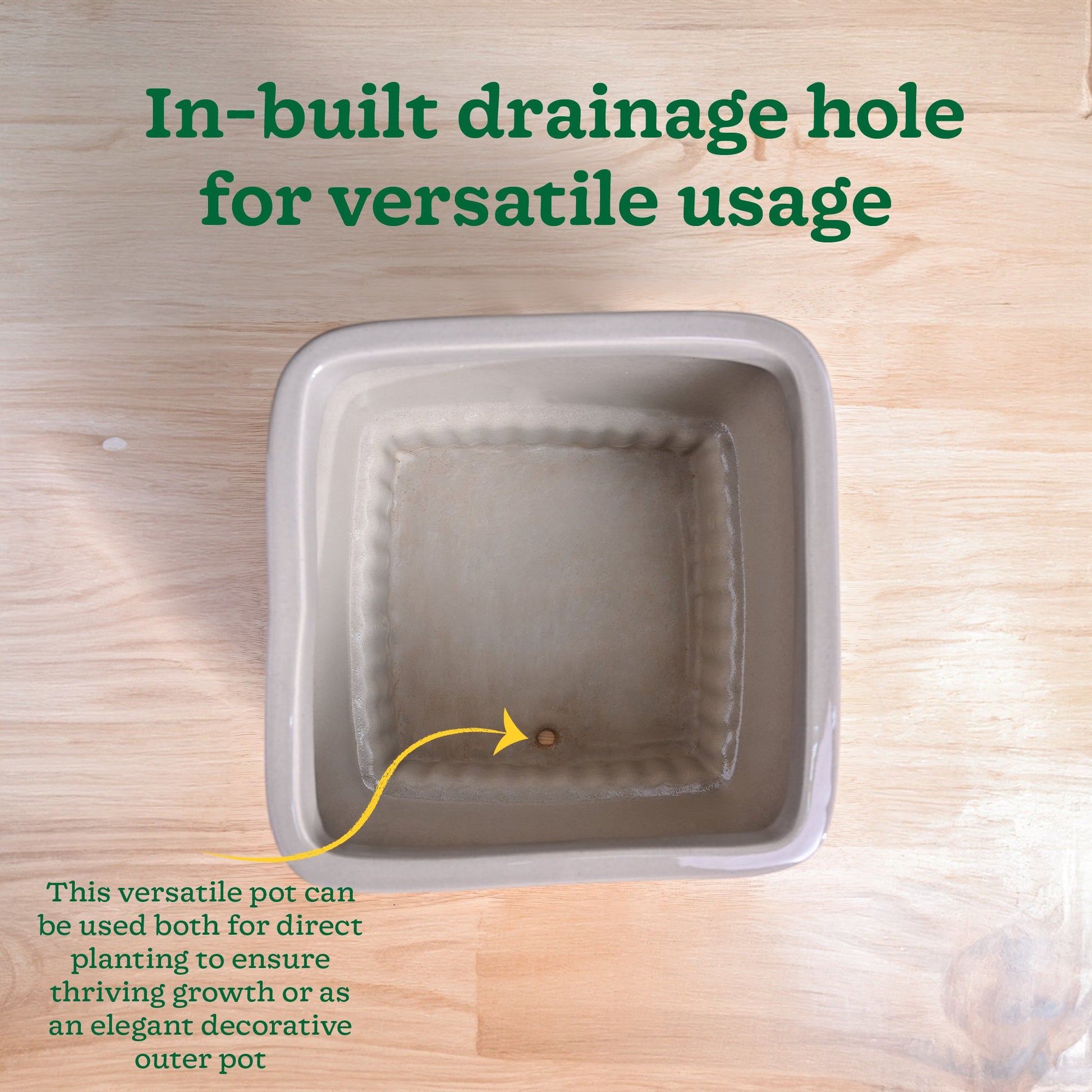 Immortal Nights Ceramic Planter