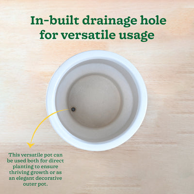 Soothing Rains Ceramic Planters