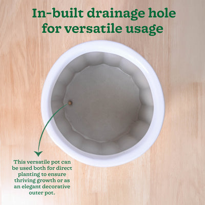 Blushing Sun Ceramic Planter