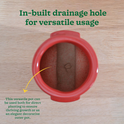 Cats are Gods Ceramic Planter