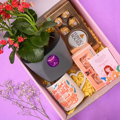 Kalanchoe Mix Joy Women's Day Gift