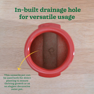 Cats are Gods Ceramic Planter