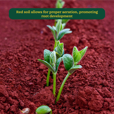 Garden Red Soil