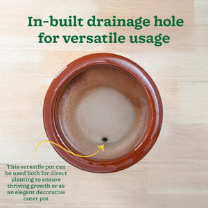 Flower Sunflower Ceramic Planter