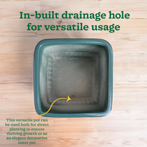 Immortal Nights Ceramic Planter