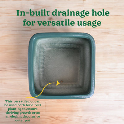 Immortal Nights Ceramic Planter