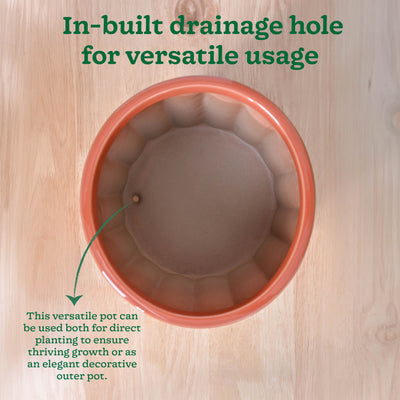 Blushing Sun Ceramic Planter