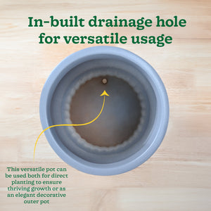 Immortal Nights Ceramic Planter