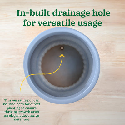 Immortal Nights Ceramic Planter