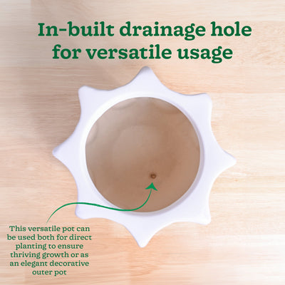 Tranquil Tales Ceramic Planter