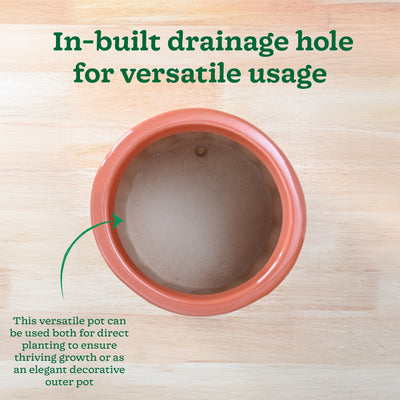 Blushing Sun Ceramic Planter