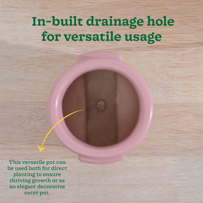 Cats are Gods Ceramic Planter