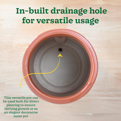 Moonlight Drama Ceramic Planter