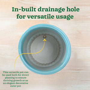 Immortal Nights Ceramic Planter