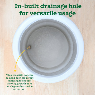 Untold stories Ceramic Planter