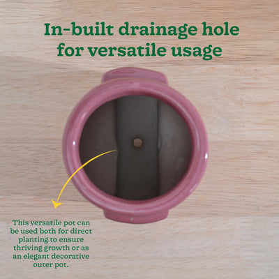 Cats are Gods Ceramic Planter