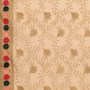 Chikoo Floral Embroidered Net Saree