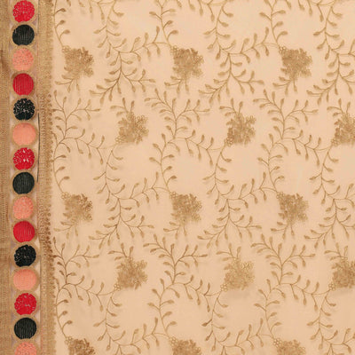 Chikoo Floral Embroidered Net Saree