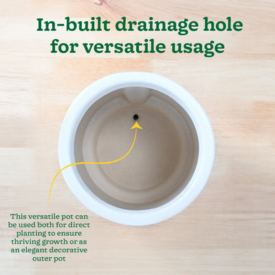 Moonlight Drama Ceramic Planter