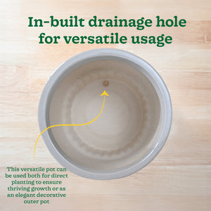 Immortal Nights Ceramic Planter