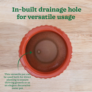 Forms of Love Ceramic Planter