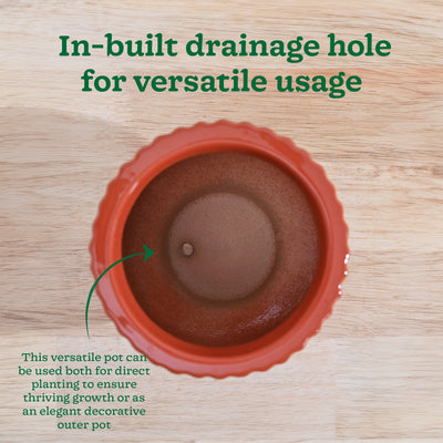 Forms of Love Ceramic Planter