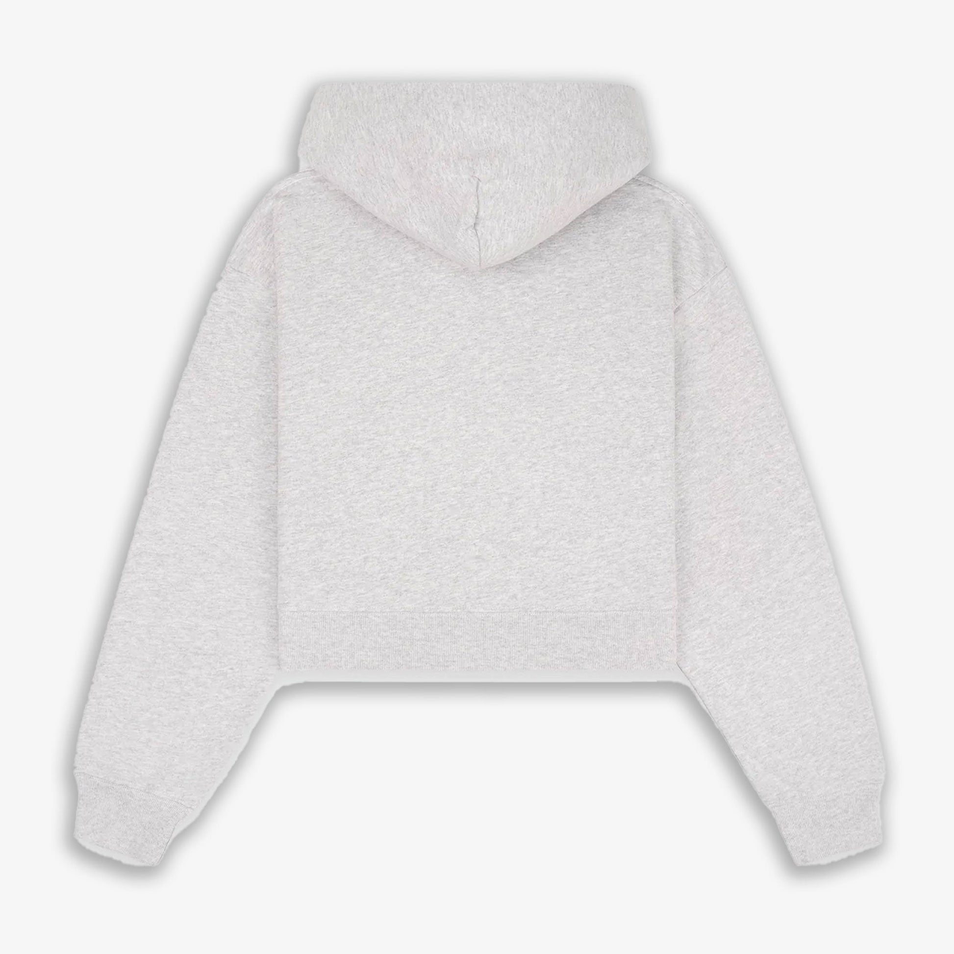 SPORTY & RICH | NY CREST CROPPED HOODIE { GRAY/GOLD