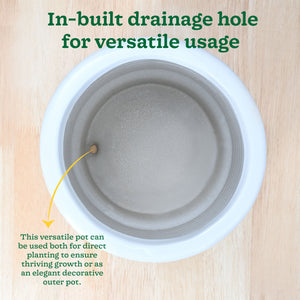 Untold stories Ceramic Planter