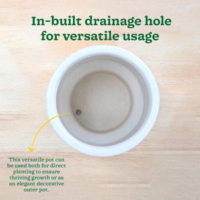 Soothing Rains Ceramic Planters