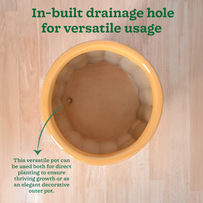 Blushing Sun Ceramic Planter