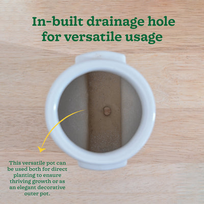 Cats are Gods Ceramic Planter