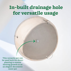 Hanging Ceramic Planters Petrichor Smite