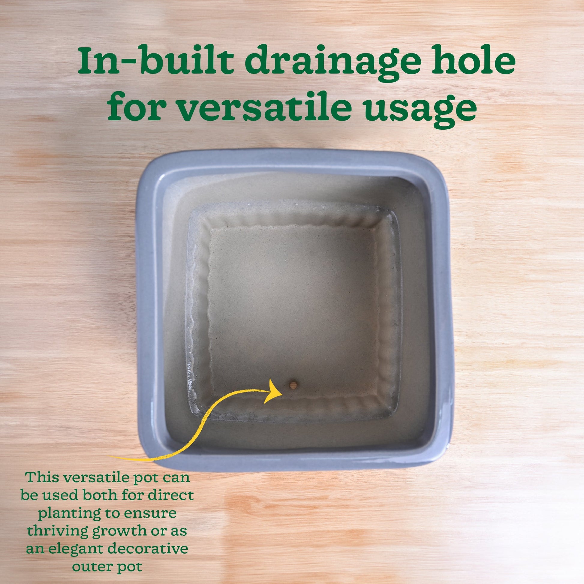 Immortal Nights Ceramic Planter