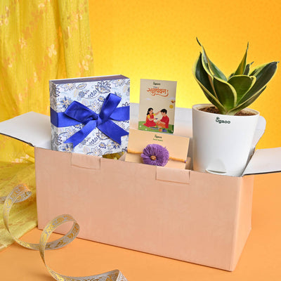 Rakhi Gift for Brother - Snake Golden Haini with Chocolate Box