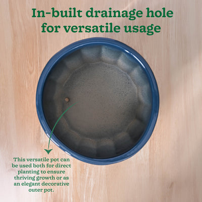 Blushing Sun Ceramic Planter