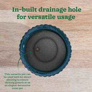 Forms of Love Ceramic Planter