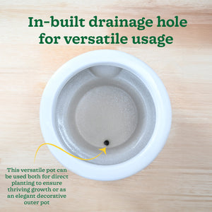 Flower Sunflower Ceramic Planter