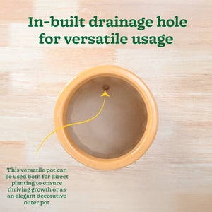 Blushing Sun Ceramic Planter