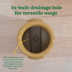 Cats are Gods Ceramic Planter