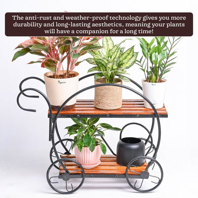 Flora on Wheels 2-Tier Plant Stand
