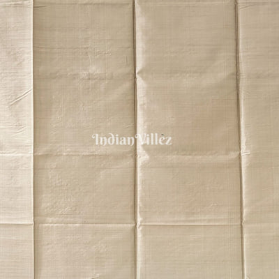 Black with Grey Handwoven Soft Silk Saree