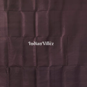 Peach Odisha Ikat Contemporary Silk Saree with Double Pallu