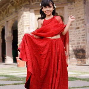 Kai Embroidered Lehenga Set