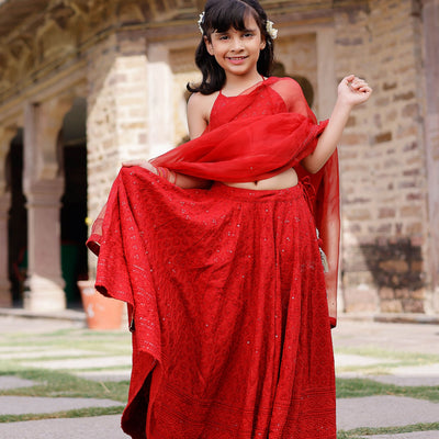 Kai Embroidered Lehenga Set