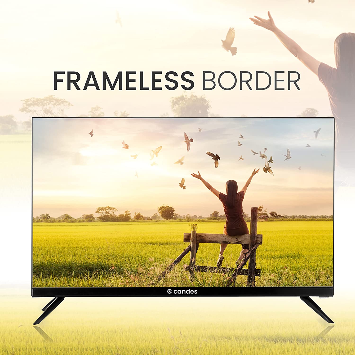 Candes Frameless 24 Normal LED TV Black (Model Id - CANDES24NCF24N001)