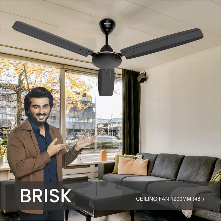 Candes Brisk High Speed 1200 mm /48 inch 100% Matt Finish Ceiling Fan 405-RPM with 2 Years warranty (Pack of 1,Coffee Brown)